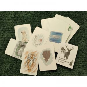 Metaforinės asociacinės kortos „Gyvūnai“